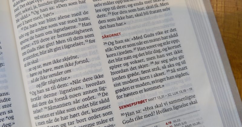 Søndagens preken