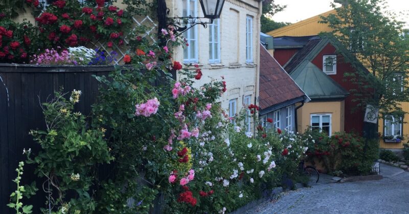 Sommergudstjenester i Centralkirken